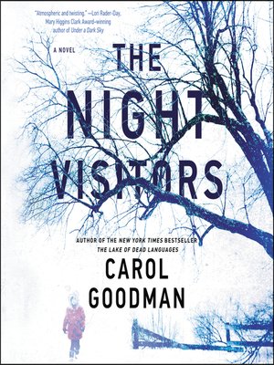 cover image of The Night Visitors